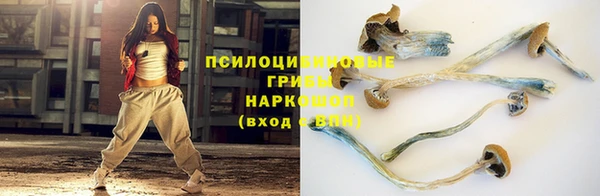 эйфоретик Богданович