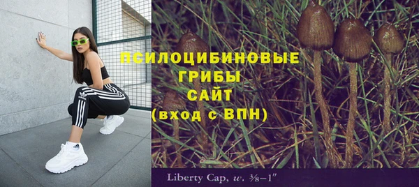 герыч Богородск