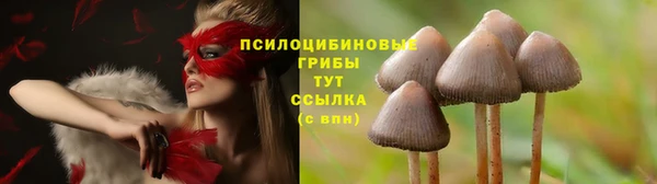 не бодяженный Богородицк