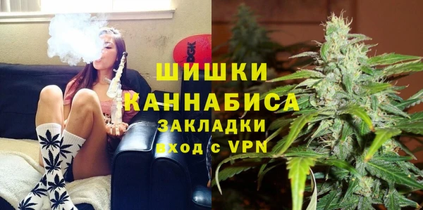 эйфоретик Богданович