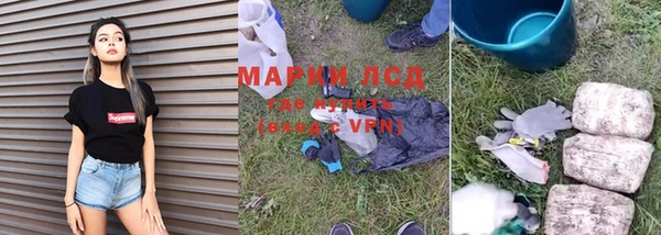 эйфоретик Богданович
