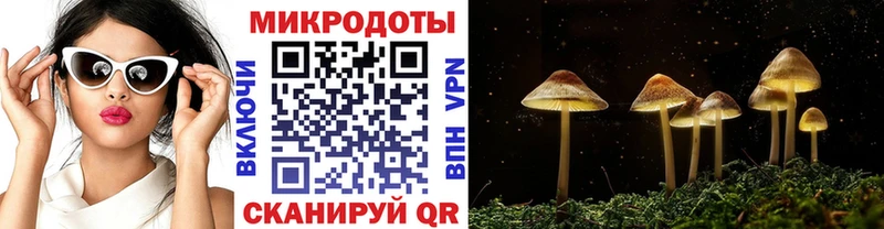 цена Плёс Псилоцибиновые грибы Magic Shrooms